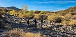 photo thumbnail #6