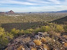 photo thumbnail #10