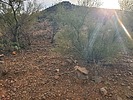 photo thumbnail #4