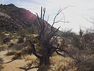 photo thumbnail #7