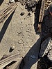 photo thumbnail #14
