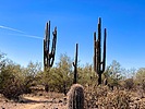photo thumbnail #11