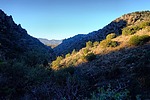 photo thumbnail #1