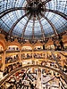 photo thumbnail #12