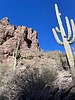 photo thumbnail #10