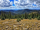 photo thumbnail #8