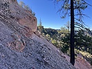 photo thumbnail #2
