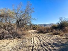 photo thumbnail #3