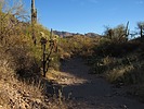 photo thumbnail #15