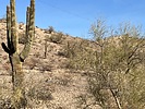 photo thumbnail #3