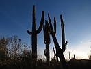 photo thumbnail #5