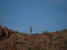 photo thumbnail #13