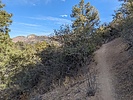photo thumbnail #3