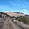 photo thumbnail #3