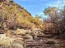 photo thumbnail #12