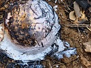 photo thumbnail #5