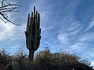 photo thumbnail #1