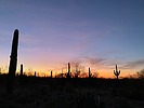 photo thumbnail #12