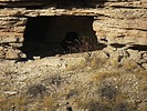photo thumbnail #10