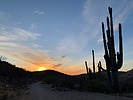 photo thumbnail #10