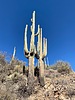 photo thumbnail #5