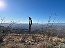 photo thumbnail #1