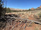 photo thumbnail #4