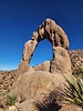 photo thumbnail #8