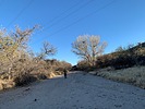 photo thumbnail #6