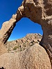 photo thumbnail #4