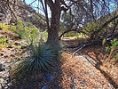 photo thumbnail #8