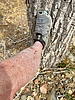 photo thumbnail #15