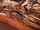 photo thumbnail #14