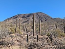 photo thumbnail #3