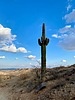 photo thumbnail #9