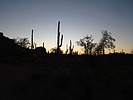 photo thumbnail #2
