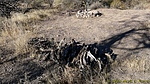 photo thumbnail #2