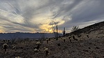 photo thumbnail #2
