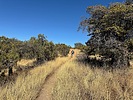photo thumbnail #6