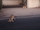 photo thumbnail #2
