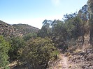 photo thumbnail #3