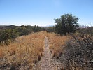 photo thumbnail #10