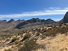 photo thumbnail #2