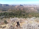 photo thumbnail #6