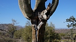 photo thumbnail #6