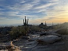 photo thumbnail #3