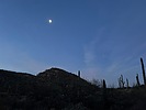 photo thumbnail #1