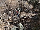 photo thumbnail #6