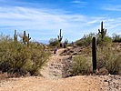 photo thumbnail #10