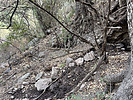 photo thumbnail #11